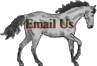 Email Us